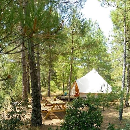 Navés Forest Days מראה חיצוני תמונה