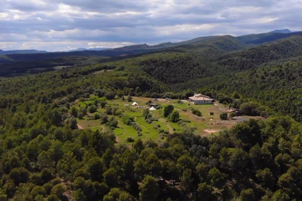 Navés Forest Days מראה חיצוני תמונה