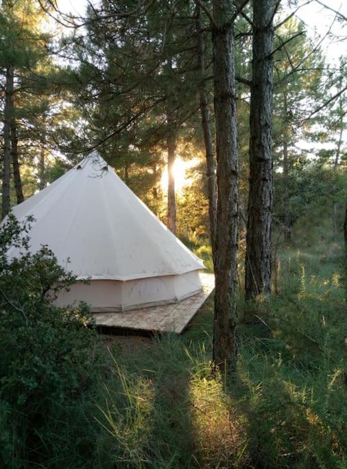 Navés Forest Days מראה חיצוני תמונה