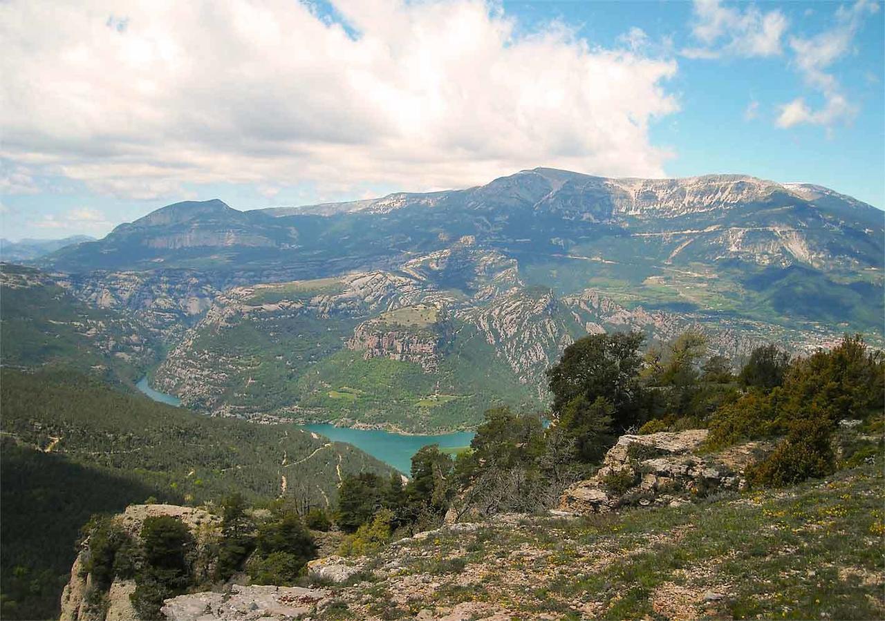 Navés Forest Days מראה חיצוני תמונה